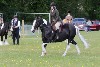 thornton-le-dale-gala showclass7acharity25-5-20164